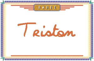 Triston����дӢ��