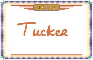 Tucker����дӢ��