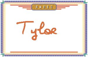 Tylor����дӢ��