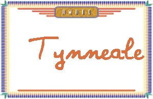 Tynneale����дӢ��