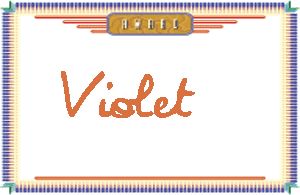 Violet����дӢ��