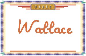 Wallace����дӢ��