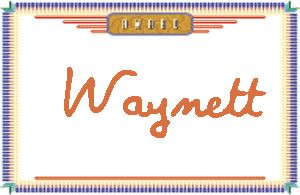 Waynett����дӢ��