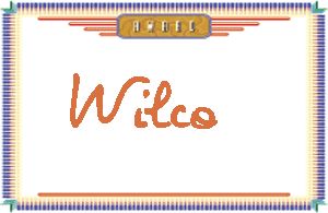 Wilco����дӢ��
