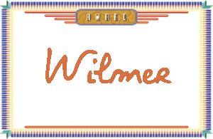 Wilmer����дӢ��