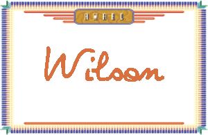Wilson����дӢ��