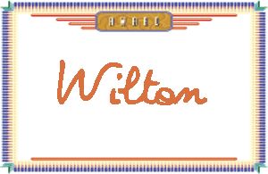 Wilton����дӢ��