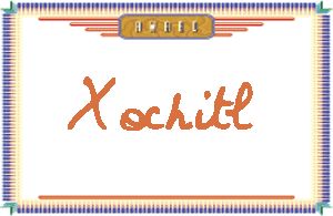 Xochitl����дӢ��