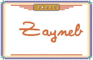 Zayneb����дӢ��