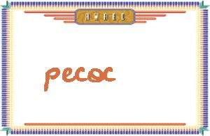 pecoc����дӢ��
